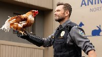Animal Control
